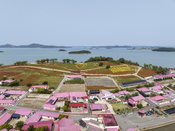 증도면 병풍도 양귀비꽃 003 6