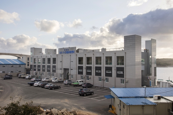 송도항 및 회센터 2