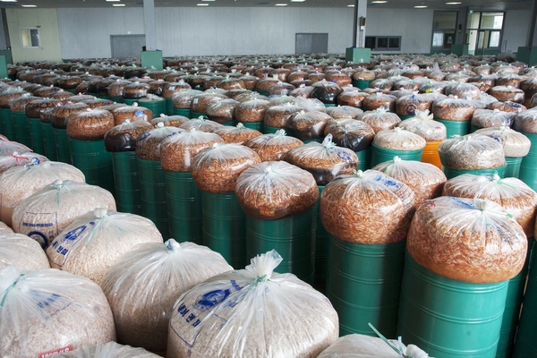 송도항 및 회센터 5