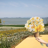 지도읍 선도 포토존조형물