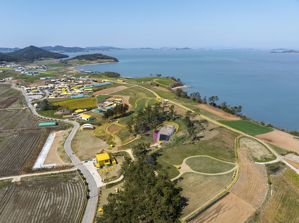 지도읍 선도 수선화 002 2