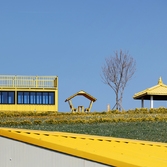 지도읍 선도 수선화 002