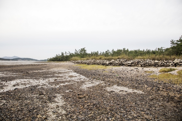 매도일금도노두길 2