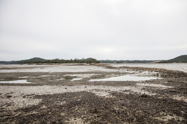 매도일금도노두길 3