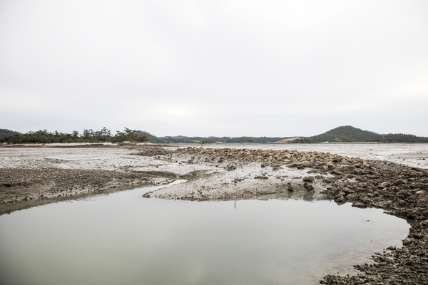 매도일금도노두길 4