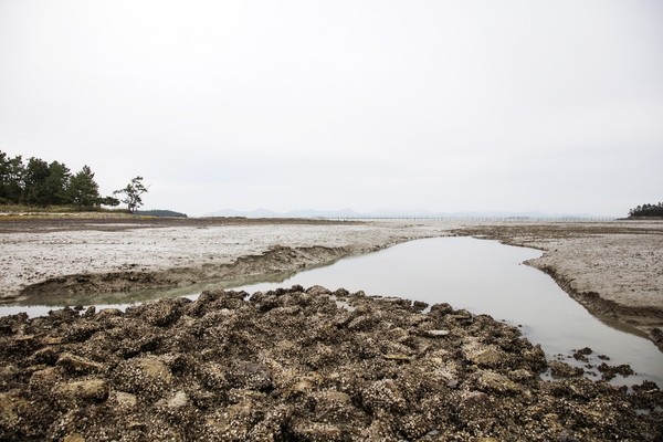 매도일금도노두길 5