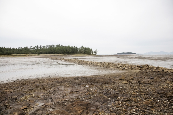 매도일금도노두길 6