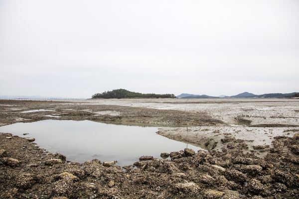 매도일금도노두길 1