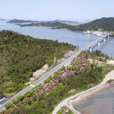 팔금면 철쭉공원 001