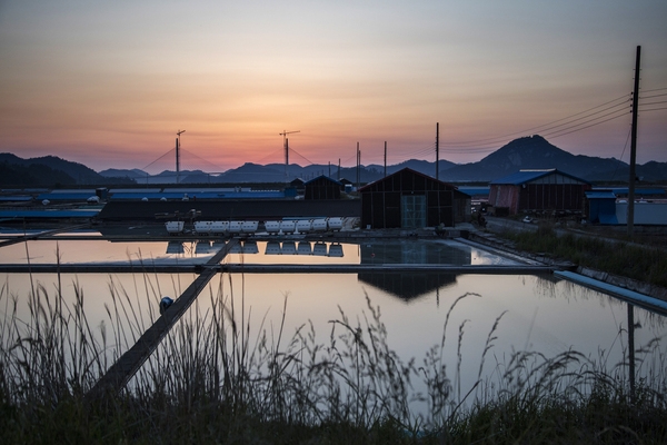 신의 염전일몰 2