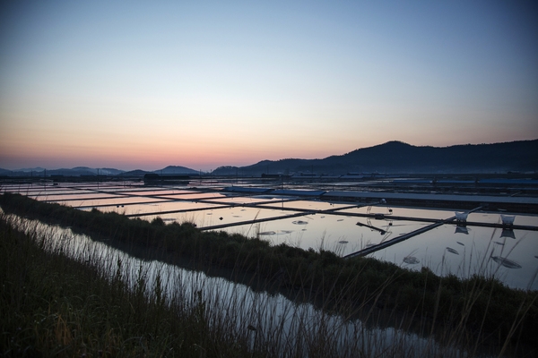 신의 염전일몰 1