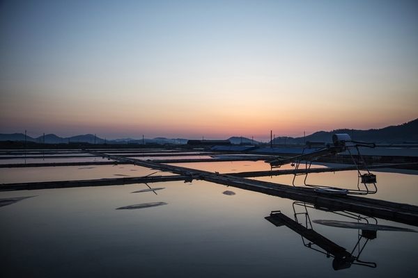 신의 염전일출 6