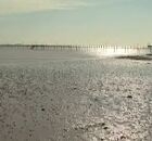 증도 갯벌로의 초대 이용자 제공이미지