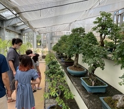 [저녁노을미술관] 2022 드로잉 파크