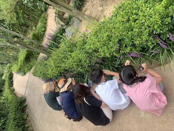 [저녁노을미술관] 2022 드로잉 파크 1