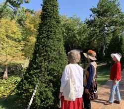 [저녁노을미술관] 2022 드로잉 파크