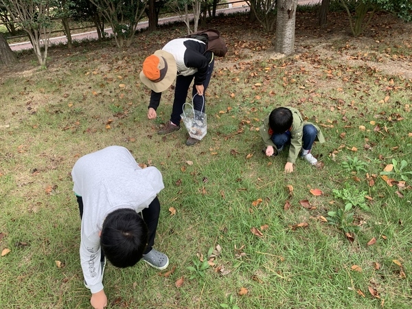 [저녁노을미술관] 2022 드로잉 파크 2