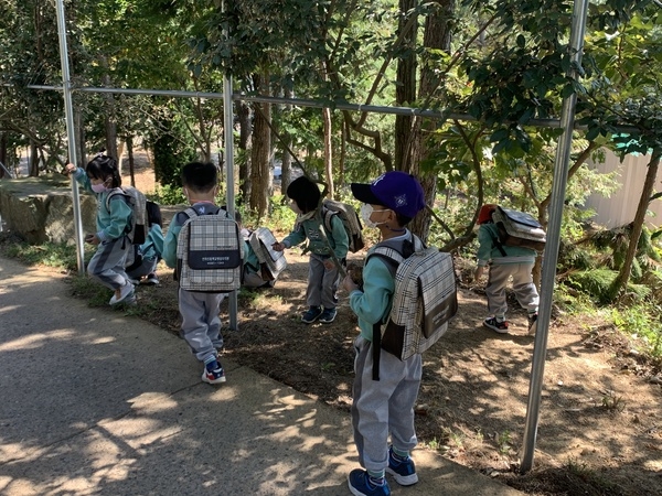 [저녁노을미술관] 걸어서 저녁노을미술관 속으로 4