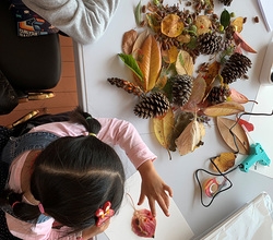 [저녁노을미술관] 예술가적 산책