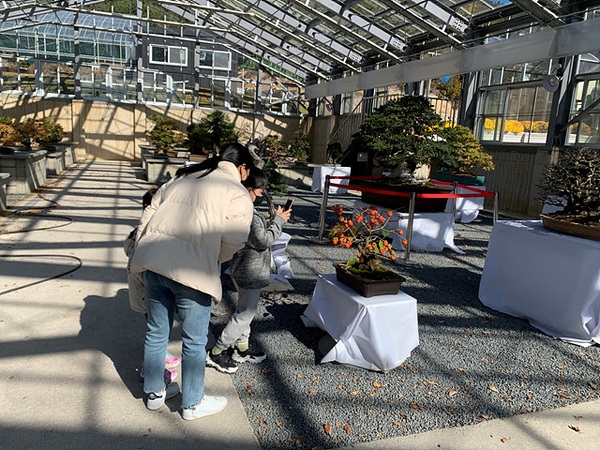 [저녁노을미술관] 예술가적 산책 1