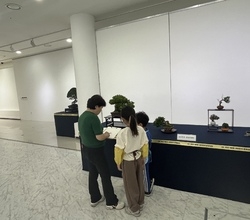 [저녁노을미술관] 주말미술학교-초등반