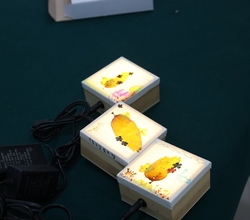 [저녁노을미술관] 바다식물 조명 만들기