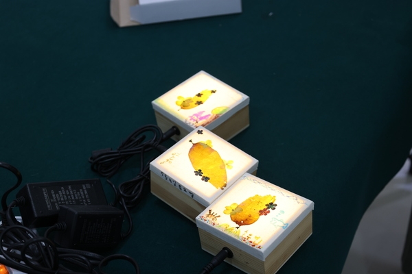 [저녁노을미술관] 바다식물 조명 만들기 1