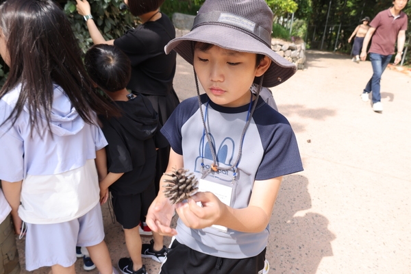 [저녁노을미술관] 집집 크루소, 우리는 집집 크루 2