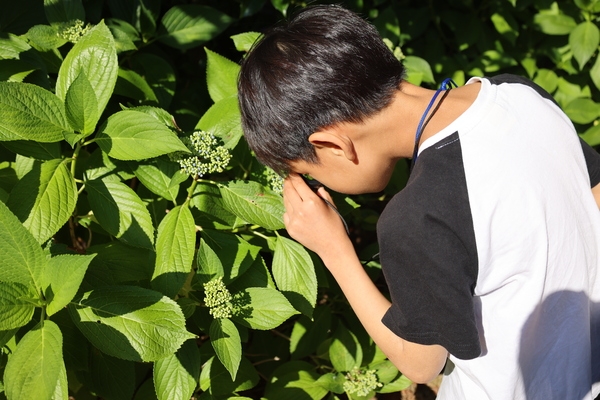 [저녁노을미술관] 집집 크루소, 우리는 집집 크루 5