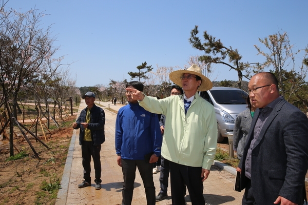 2019.04.18 자은면 신안자연휴양림,마리포스리조트 현장방문 3