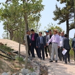 2019.05.14 도초면 수국공원 현장점검