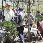 2019.05.21 도초수국공원현장점검