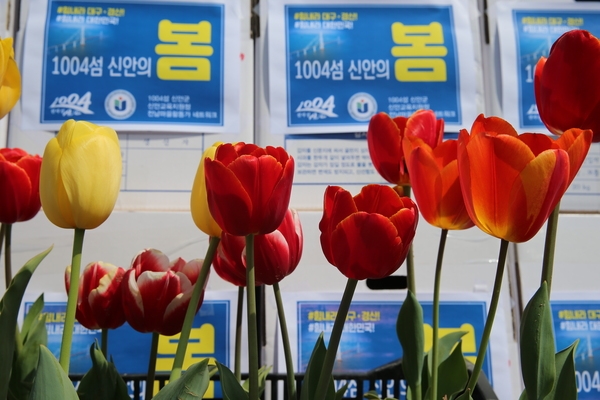 2020.03.31 대구 경산 희망 튤립 보내기 행사 3