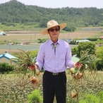 2020.06.05 자은면 농촌일손돕기(양파수확)