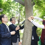 2020.06.20 풍란석곡자생지 복원화사업