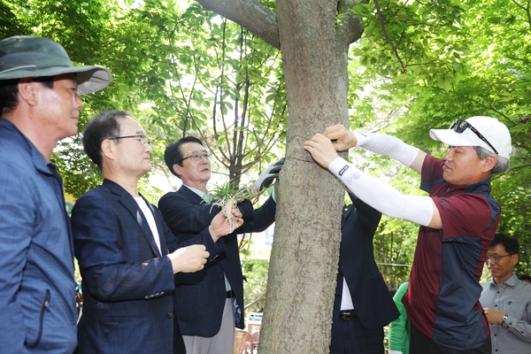 2020.06.20 풍란석곡자생지 복원화사업 1