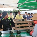 2020.07.14 지도읍 미니호박 수출선별작업장 방문