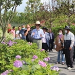 2020.07.15 도초면 명품 숲길 및 수국공원 현장방문