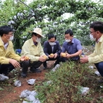 2020.08.27 압해읍 태풍피해 현장방문(무화과,배과수원)
