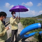 2020.08.28 장산면 태풍피해 현장방문