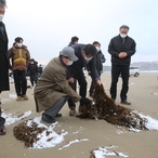 2021.01.17 자은면(양산해변) 괭생이 모자반 피해현장 방문(서삼석 의원)