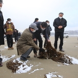 2021.01.17 자은면(양산해변) 괭생이 모자반 피해현장 방문(서삼석 의원)