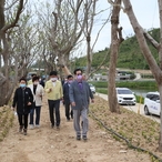 2021.05.11 도초면 팽나무 숲 및 수국공원 방문