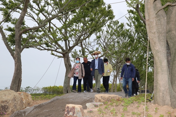 2021.05.26 도초면 팽나무 숲 및 수국공원 현장 방문 2