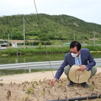 2021.05.26 도초면 팽나무 숲 및 수국공원 현장 방문