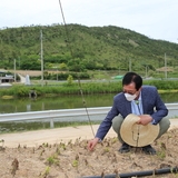 2021.05.26 도초면 팽나무 숲 및 수국공원 현장 방문