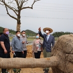 2021.05.26 하의면 한반도 평화의 숲 공사현장방문 