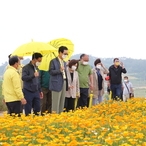 2021.05.27 선도 가고싶은섬 조성 현장방문(금영화)