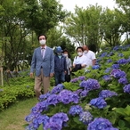 2021.06.26 도초 수국공원 현장방문