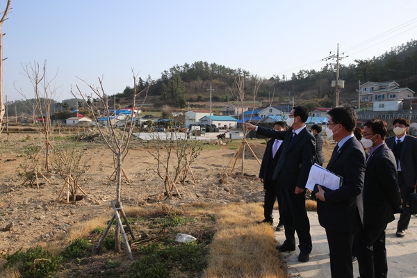 2022.03.24 하의면 한반도 평화의 숲 현장방문 2